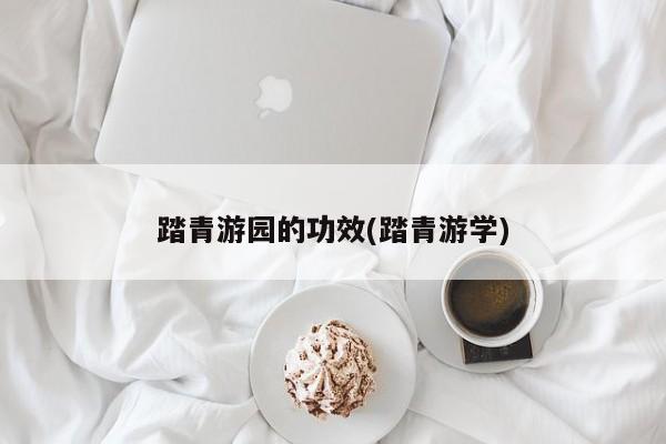 踏青游园的功效(踏青游学)